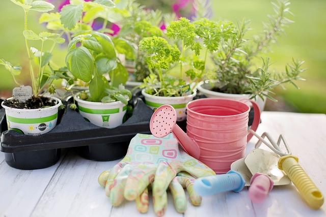 Yes, You Can Have A Garden In Your Apartment!